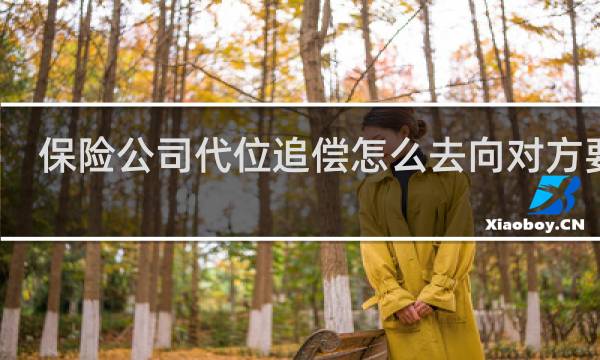 保险公司代位追偿怎么去向对方要钱