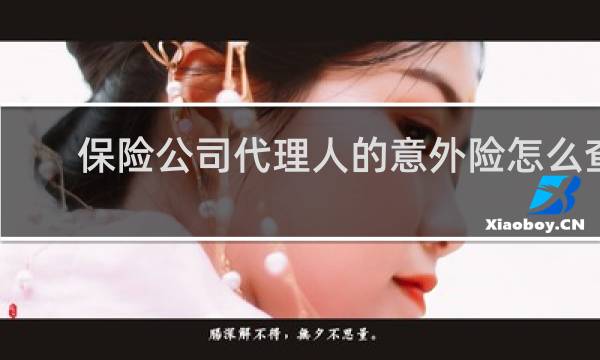 保险公司代理人的意外险怎么查