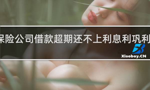 保险公司借款超期还不上利息利巩利合理吗