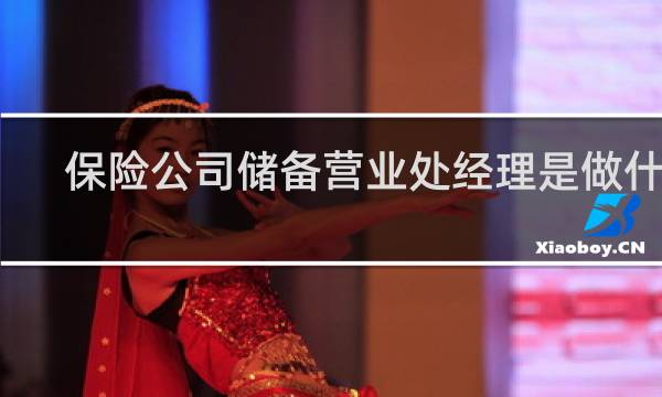 保险公司储备营业处经理是做什么