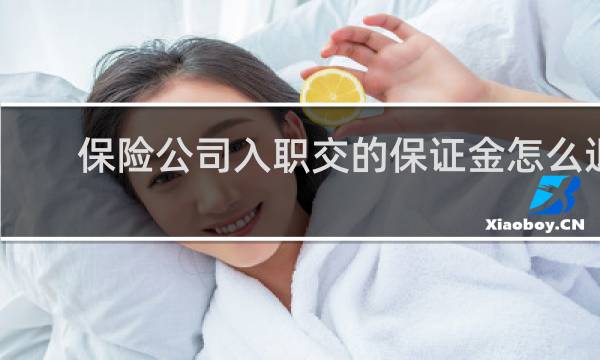 保险公司入职交的保证金怎么退