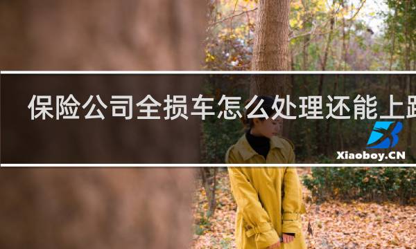 保险公司全损车怎么处理还能上路吗