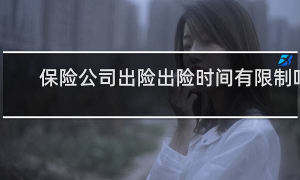 保险公司出险出险时间有限制吗