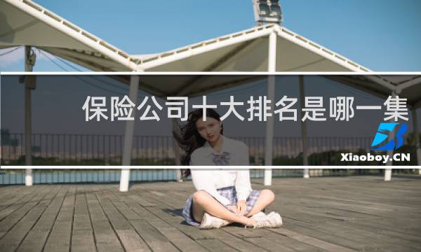 保险公司十大排名是哪一集