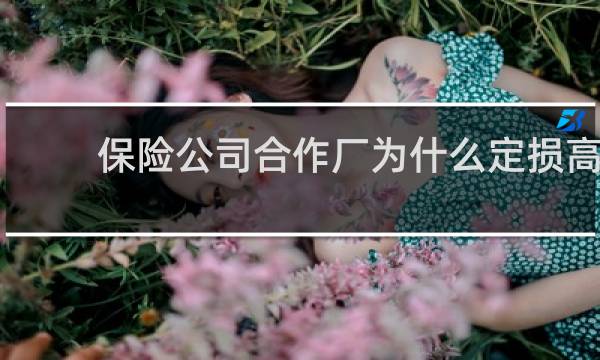 保险公司合作厂为什么定损高
