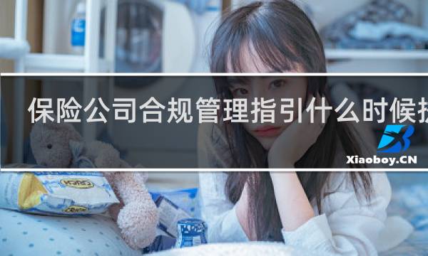 保险公司合规管理指引什么时候执行