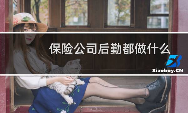 保险公司后勤都做什么