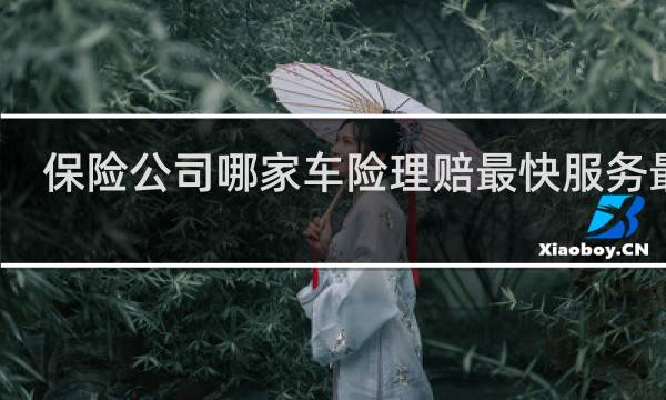 保险公司哪家车险理赔最快服务最好