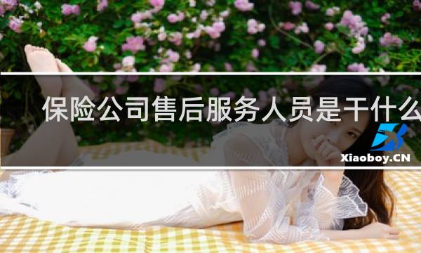 保险公司售后服务人员是干什么的