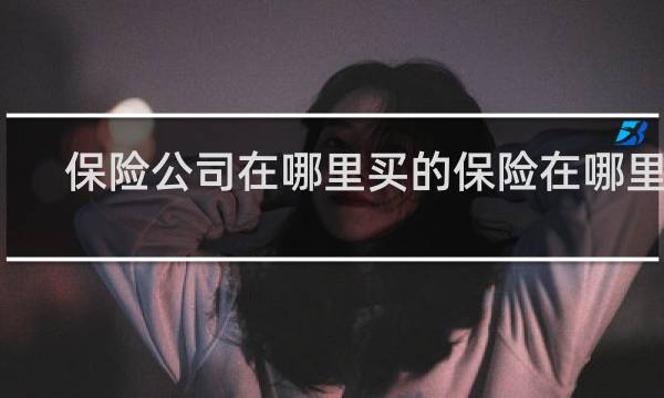 保险公司在哪里买的保险在哪里报