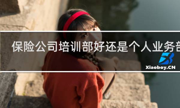 保险公司培训部好还是个人业务部好