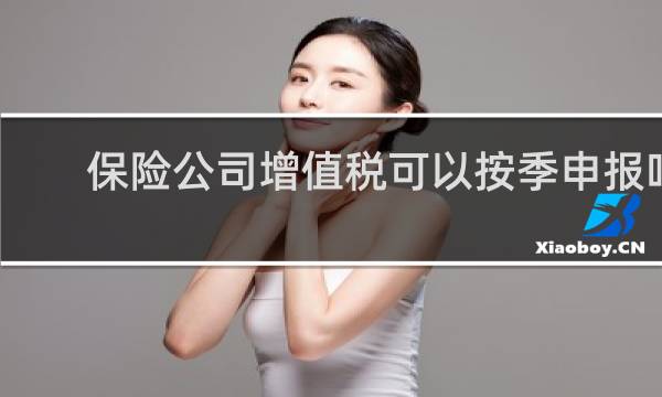保险公司增值税可以按季申报吗