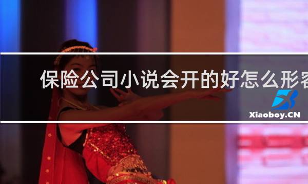 保险公司小说会开的好怎么形容