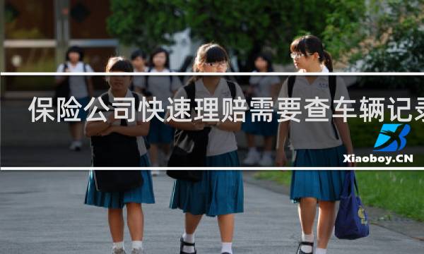 保险公司快速理赔需要查车辆记录吗