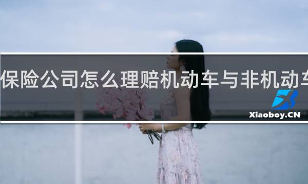 保险公司怎么理赔机动车与非机动车事故