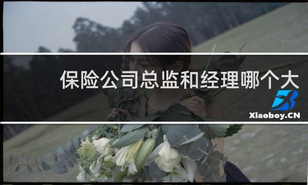 保险公司总监和经理哪个大