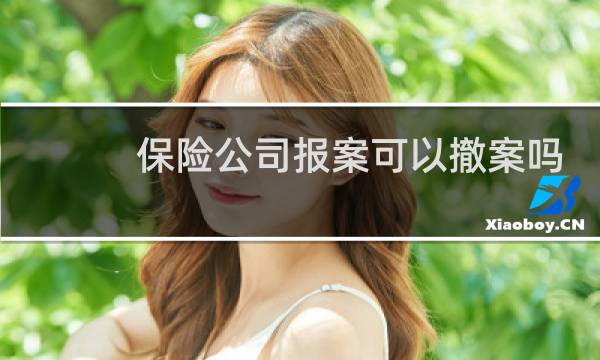 保险公司报案可以撤案吗