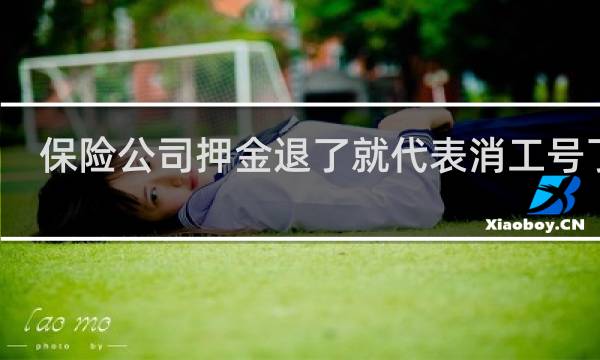 保险公司押金退了就代表消工号了吗