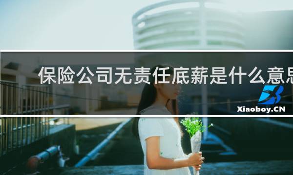保险公司无责任底薪是什么意思