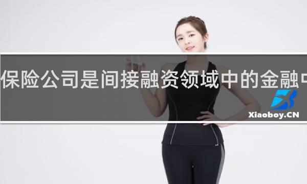 保险公司是间接融资领域中的金融中介吗