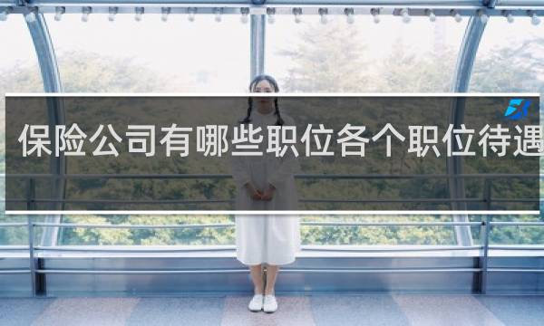 保险公司有哪些职位各个职位待遇如何