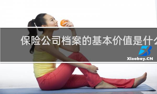 保险公司档案的基本价值是什么