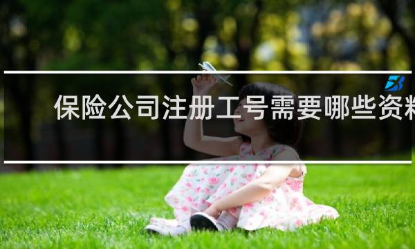 保险公司注册工号需要哪些资料