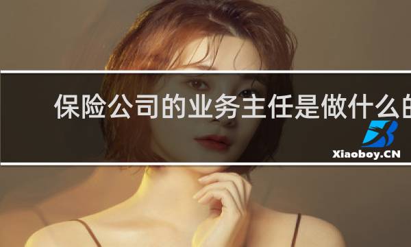 保险公司的业务主任是做什么的