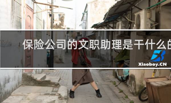 保险公司的文职助理是干什么的