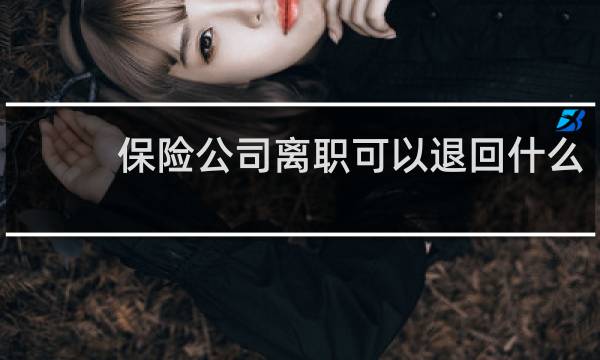 保险公司离职可以退回什么