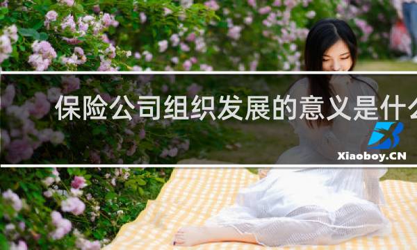 保险公司组织发展的意义是什么
