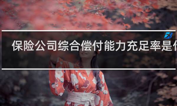 保险公司综合偿付能力充足率是什么
