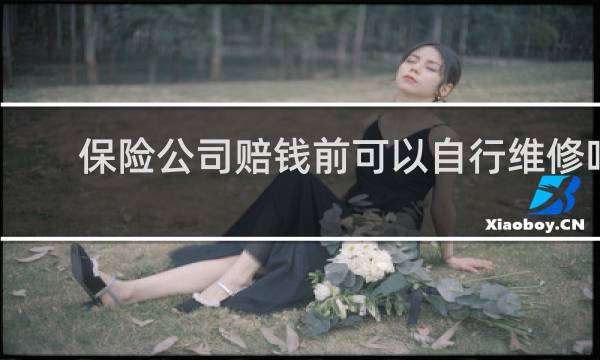 保险公司赔钱前可以自行维修吗