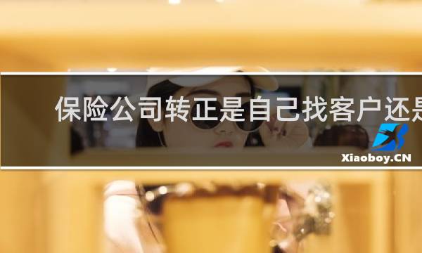 保险公司转正是自己找客户还是
