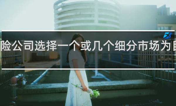保险公司选择一个或几个细分市场为目标市场