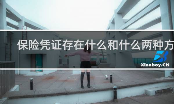 保险凭证存在什么和什么两种方式