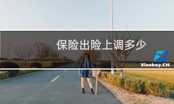 保险出险上调多少