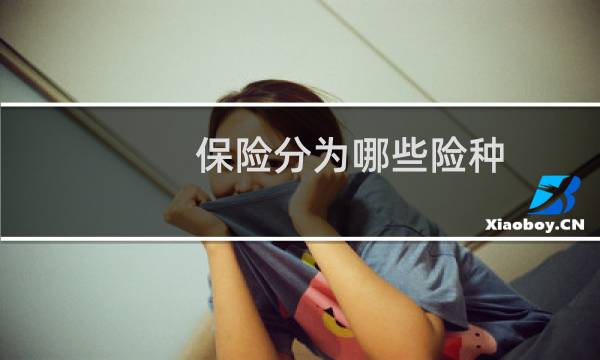 保险分为哪些险种