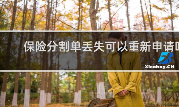 保险分割单丢失可以重新申请吗