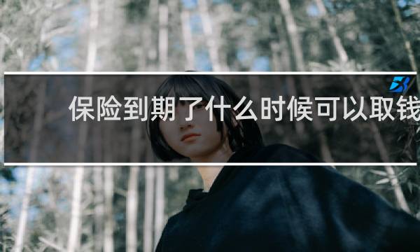 保险到期了什么时候可以取钱
