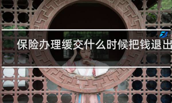 保险办理缓交什么时候把钱退出来