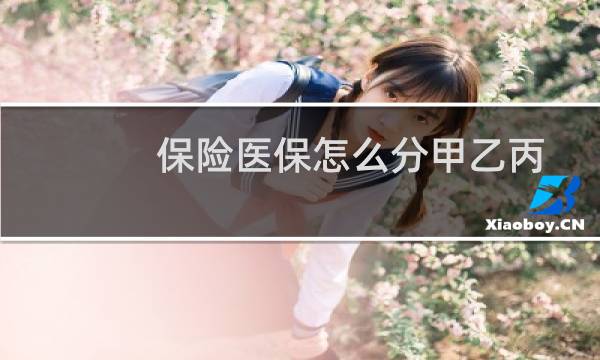保险医保怎么分甲乙丙