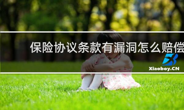 保险协议条款有漏洞怎么赔偿