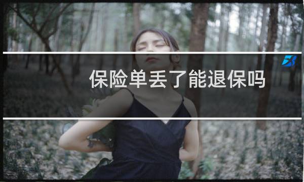 保险单丢了能退保吗