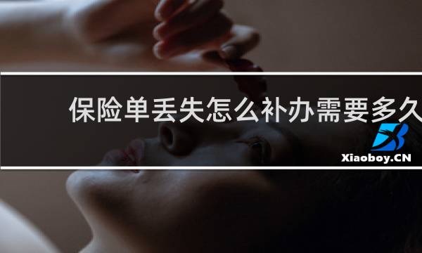 保险单丢失怎么补办需要多久