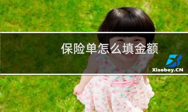 保险单怎么填金额