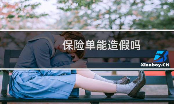 保险单能造假吗