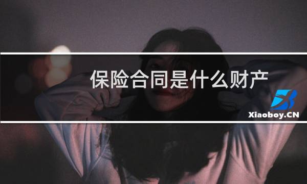 保险合同是什么财产