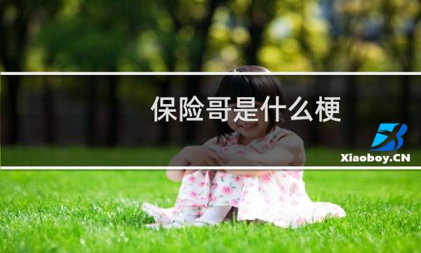 保险哥是什么梗
