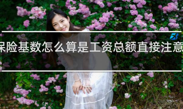 保险基数怎么算是工资总额直接注意十二吗